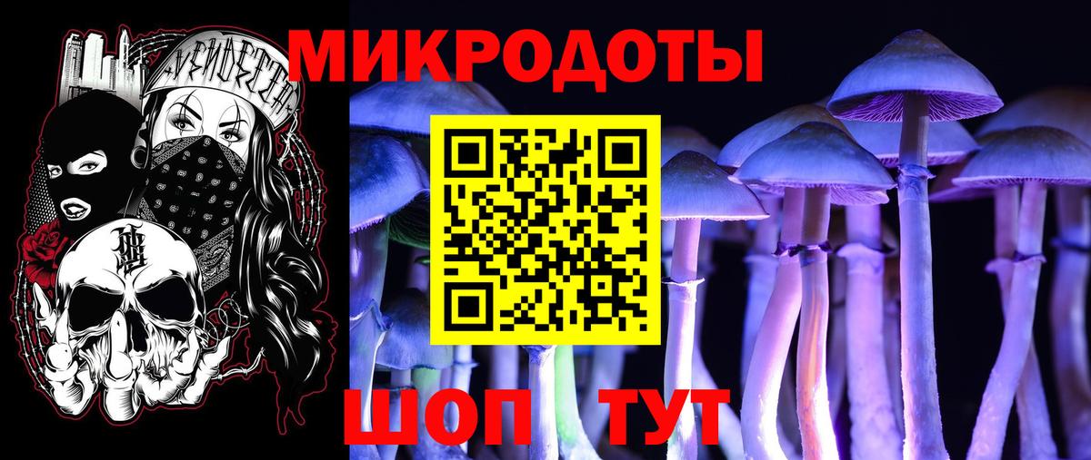 Галлюциногенные грибы GOLDEN TEACHER  Вход с VPN  Дальнегорск 